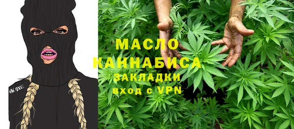 хмурый Вяземский
