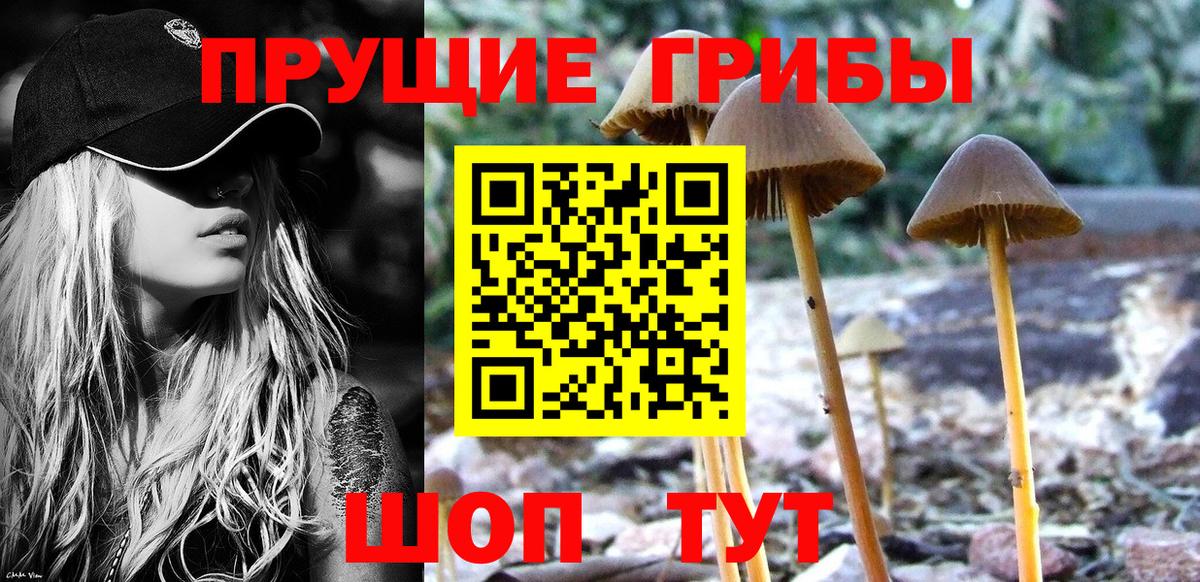 Псилоцибиновые грибы ЛСД  Еманжелинск 